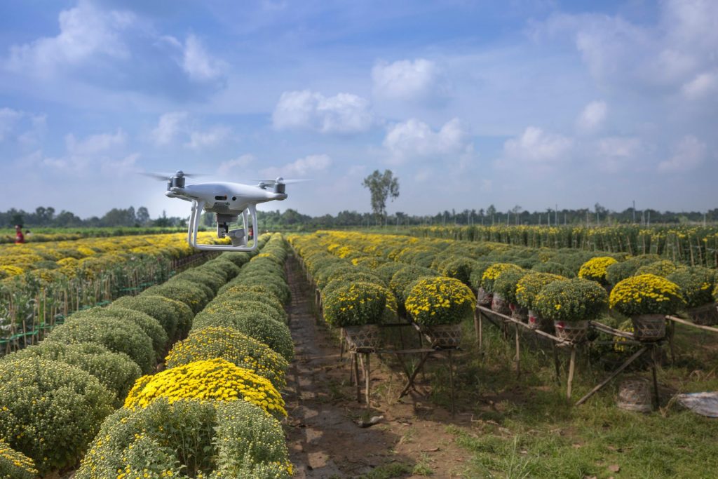 Drones with multispectral sensors monitoring of plant and crop health