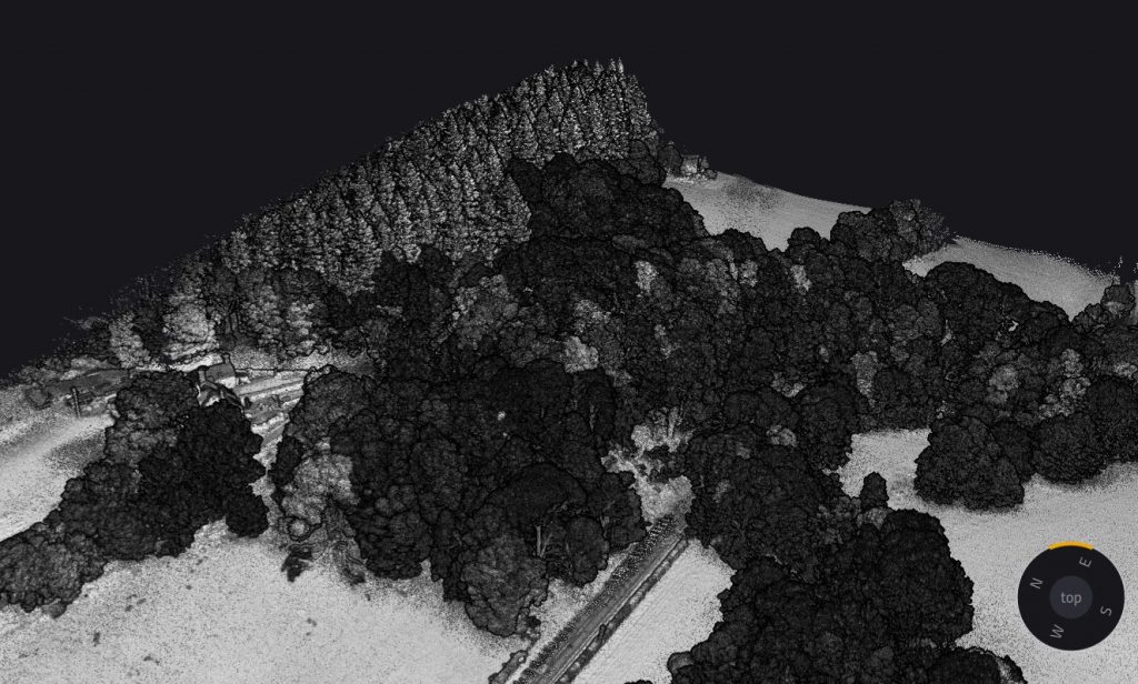 castle mill tree intensity values