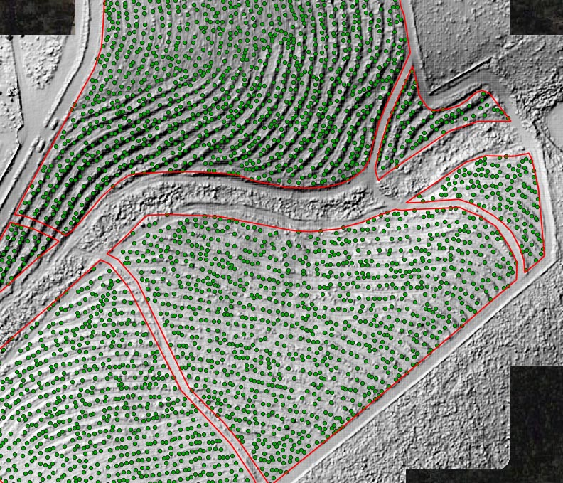 Tree locations